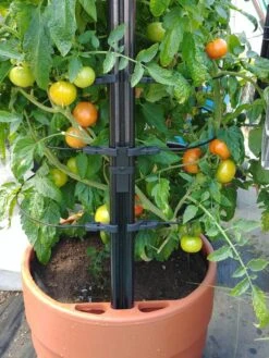 Gardener’s Victory Self-Watering Planter With Support System -Best Garden Care Shop 8598384 01EMP tif