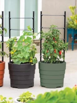 Gardener’s Victory Self-Watering Planter With Support System -Best Garden Care Shop 8598384 06013 tif