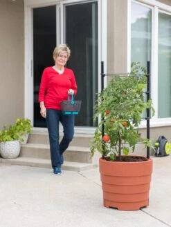 Gardener’s Victory Self-Watering Planter With Support System -Best Garden Care Shop 8598384 6011 tif