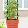 Gardener’s Victory Self-Watering Planter With Support System -Best Garden Care Shop 8598384 6012 tif