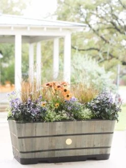 VegTrug™ Trough Planters -Best Garden Care Shop 8598402 08880 tif