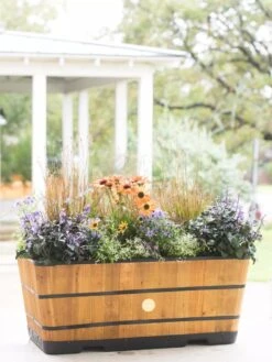 VegTrug™ Trough Planters -Best Garden Care Shop 8598402 8880 tif