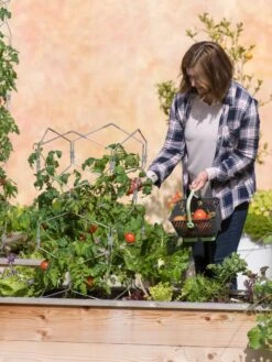 Gardener's Vertex Lifetime Tomato Cage -Best Garden Care Shop 8598426 0026 tif