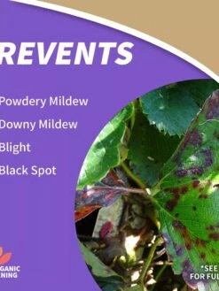 Captain Jack's™ Copper Fungicide Ready To Use, 1 Quart -Best Garden Care Shop 8598746 01V