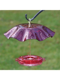 Birds Choice™ Hummingbird Nectar Feeder With Weather Guard Kit 7 Birds Choice™ Hummingbird Nectar Feeder With Weather Guard Kit -Best Garden Care Shop 8598910 01v