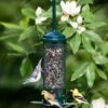 Brome® Squirrel Buster™ Mini Bird Feeder 1 Brome® Squirrel Buster™ Mini Bird Feeder -Best Garden Care Shop 8598918 01V tif