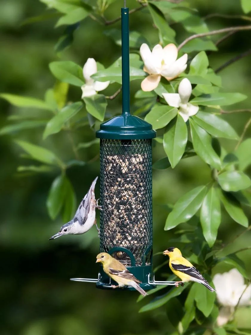 Brome® Squirrel Buster™ Mini Bird Feeder 3 Brome® Squirrel Buster™ Mini Bird Feeder