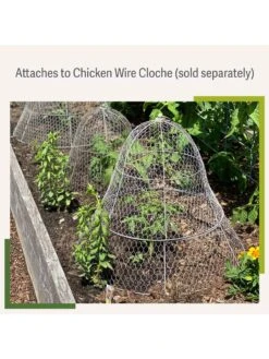Chicken Wire Cloche Extension -Best Garden Care Shop 8599107 2