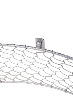 Chicken Wire Cloche Extension -Best Garden Care Shop 8599107 2293 tif