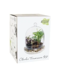 Cloche Terrarium Kit Medium 8 Cloche Terrarium Kit Medium -Best Garden Care Shop 8599148 01v