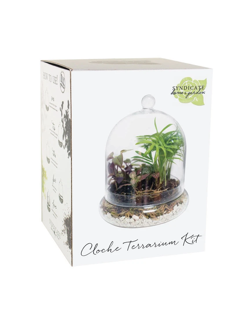 Cloche Terrarium Kit Medium 5 Cloche Terrarium Kit Medium - Image 3