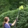 Sun Joe® Electric Telescoping Pole Hedge Trimmer, 4 Amp -Best Garden Care Shop 8599169 01v sun joe electric telescoping pole hedge trimmer