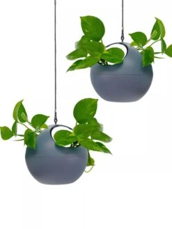 Exaco Euro Hanging Planters, Set Of 2 -Best Garden Care Shop 8599179 04V tif