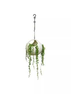 Exaco Euro Hanging Planters, Set Of 2 -Best Garden Care Shop 8599179 06V tif