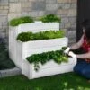 Cascading Keyhole Garden Bed -Best Garden Care Shop 8599294 01V tif
