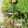 Dahlia Butterfly Feeder -Best Garden Care Shop 8599369 681 tif