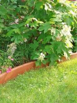 Curved Landscape Edging Kit With 2" Boards -Best Garden Care Shop 8599407 03V tif