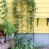 Achla Designs Waves Trellis -Best Garden Care Shop 8599491 01V tif