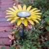 Desert Steel Daisy Solar Light -Best Garden Care Shop 8599556 03V tif