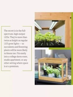 Bamboo Mini LED Grow Light Garden -Best Garden Care Shop 8599624 06