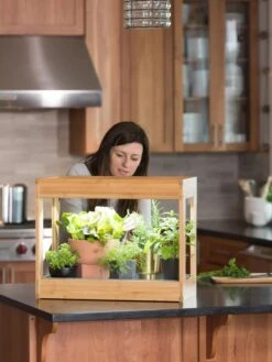 Bamboo Mini LED Grow Light Garden -Best Garden Care Shop 8599624 12532 tif