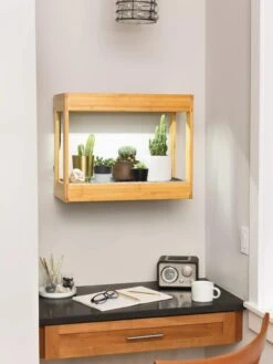 Bamboo Mini LED Grow Light Garden -Best Garden Care Shop 8599624 12872 tif