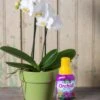 Espoma Orchid! Plant Food 1 Espoma Orchid! Plant Food -Best Garden Care Shop 8599783 18431 tif