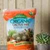 Espoma Cactus Potting Mix, 4 Quart -Best Garden Care Shop 8599789 18448 tif