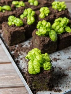 Soil Blocker, 4 Cell 11 Soil Blocker, 4 Cell -Best Garden Care Shop 8599790 1057 tif