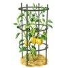 Titan Pepper Eggplant Cages, Set Of 3 -Best Garden Care Shop 8599859 0001 art tif