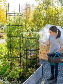 Titan Tomato Cages, Set Of 3 -Best Garden Care Shop 8599861 0114 tif