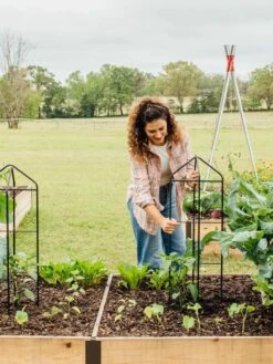 Zenith Folding Garden Supports, Set Of 2 -Best Garden Care Shop 8600073 324 tif