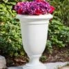 Ellington Self-Watering Urn Planter, 24" -Best Garden Care Shop 8600110 12V tif