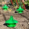 Slug And Snail Traps, Set Of 3 -Best Garden Care Shop 8600120 1784 slug and snail traps set of 3