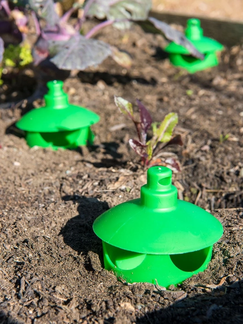 Slug And Snail Traps, Set Of 3 5 Slug And Snail Traps, Set Of 3 - Image 3