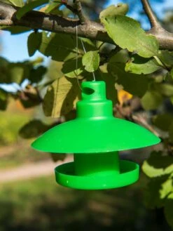 Slug And Snail Traps, Set Of 3 17 Slug And Snail Traps, Set Of 3 -Best Garden Care Shop 8600120 1792