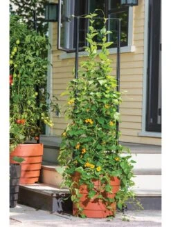 Vine Trellis For Gardener's Victory Self-Watering Planter With Support System -Best Garden Care Shop 8600175 0733 3 4