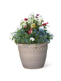 Cortina Self-Watering Planters -Best Garden Care Shop 8600315 19839 tif