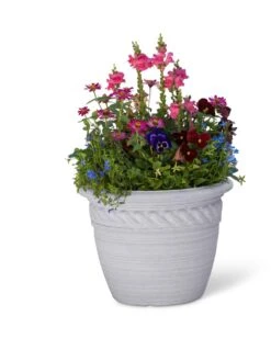 Cortina Self-Watering Planters -Best Garden Care Shop 8600316 19838 tif