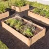 Copper Cap Raised Beds 2 Copper Cap Raised Beds -Best Garden Care Shop 8600497 0526 tif