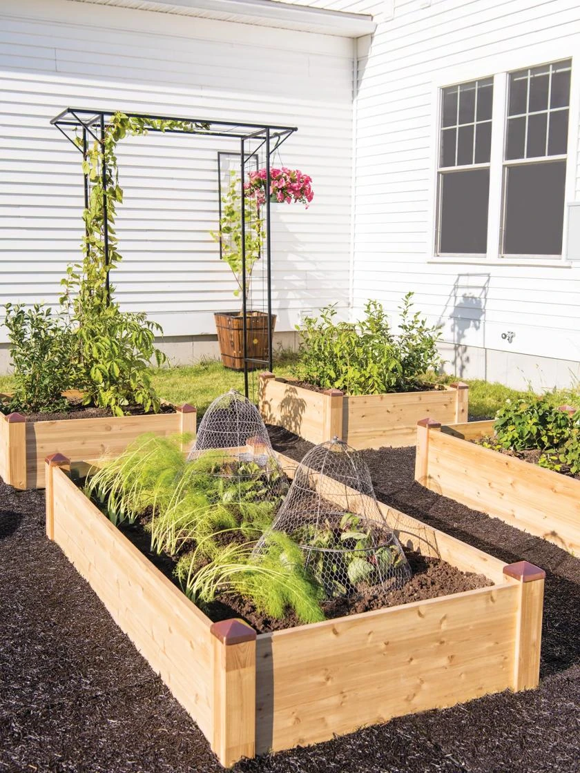 Copper Cap Raised Beds 9 Copper Cap Raised Beds - Image 7