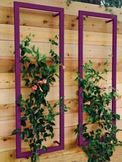 Ina Modern Wall Trellis Sr. -Best Garden Care Shop 8600510 02V tif