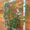 Ina Modern Wall Trellis Jr. 1 Ina Modern Wall Trellis Jr. -Best Garden Care Shop 8600512 07V tif