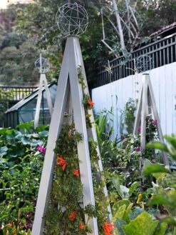 Akoris Garden Tuteur Jr. 14 Akoris Garden Tuteur Jr. -Best Garden Care Shop 8600517 07V tif