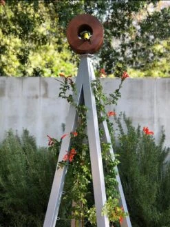 Bird Cafe + Akoris Garden Tuteur Jr. -Best Garden Care Shop 8600525 07v