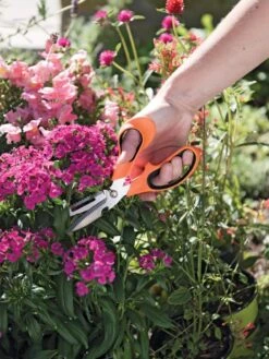 Gardener's Multi Purpose Scissors -Best Garden Care Shop 8608655 19551 tif