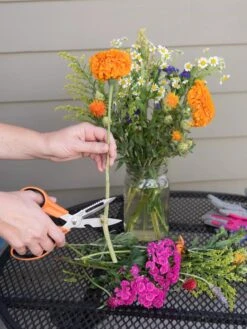 Gardener's Multi Purpose Scissors -Best Garden Care Shop 8608655 19555 tif