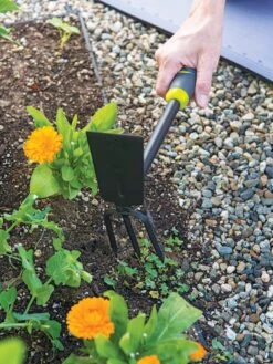 Gardener's 2-in-1 Short Handle Hoe And Cultivator 9 Gardener's 2-in-1 Short Handle Hoe And Cultivator -Best Garden Care Shop 8608657 19474 tif