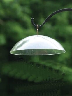 Birds Choice Hanging Dome With Brass Hanger