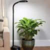 Agrobrite Floor LED Plant Lamp -Best Garden Care Shop 8608870 0308 tif